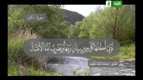 سورة إبراهيم لكروان إذاعة القرآن الكريم فضيلة القارئ الشيخ محمد أحمد شبيب