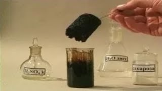Опыты по химии. Обугливание сахара концентрированной серной кислотой