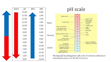 pH and pOH in Acids, Bases and Water 07022020