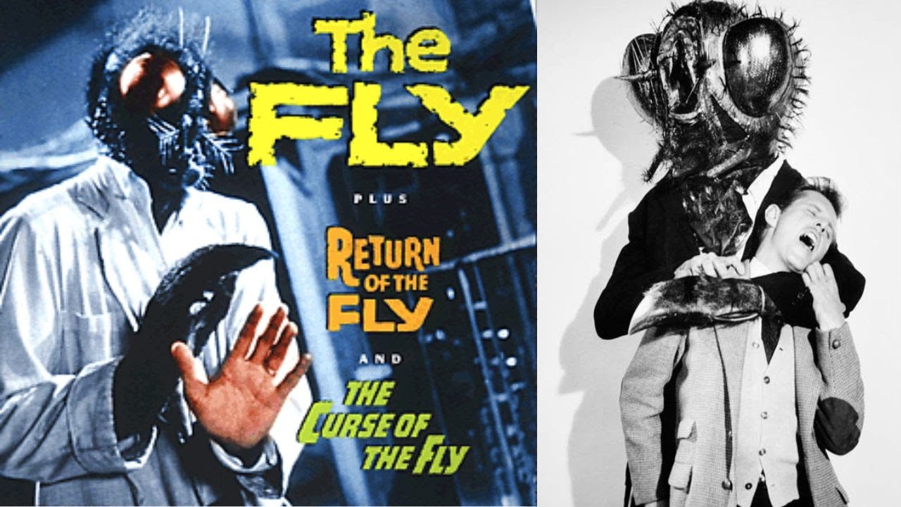 The Fly trilogy The Fly (1958) Return of the Fly (1959) Curse of the Fly (1965) YouTube