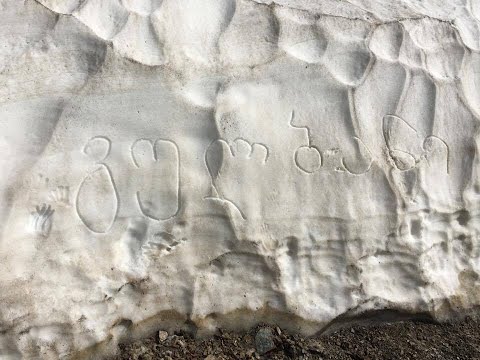 პატარა სვანების პირველი სტუმრობა მშობლიურ მხარეში