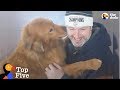 Dogs Reunited With Their Families | The Dodo Top 5