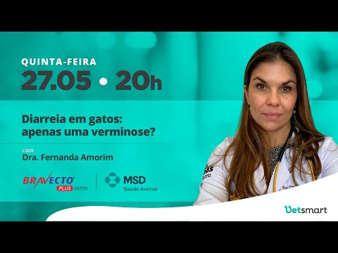 Vídeo: Diarreia (com Resposta A Antibióticos) Em Gatos