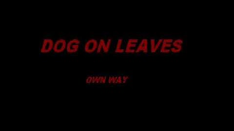 Dog On Leaves - Own Way (Ramp cover)