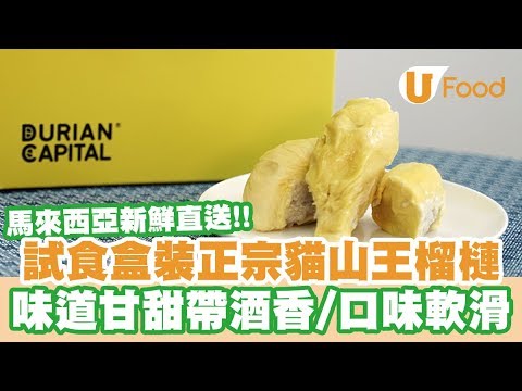 【UFood開箱】全港首間貓山王專賣店「Durian Capital」 試食馬來西亞新鮮直送盒裝榴槤
