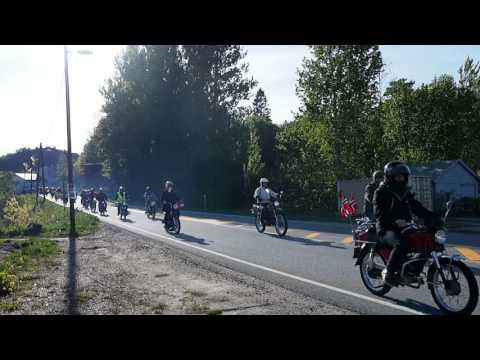 Tempo gjengen 16