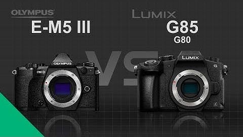 Olympus OM-D E-M5 Mark III vs Panasonic Lumix G85