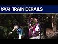 CTA passengers escorted to safety after tree lands on tracks