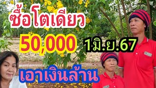 โตเดียว 50,000 ถูก5งวดติดงวดนี้ล้านแตก"พ่อรงค์ 01/06/67