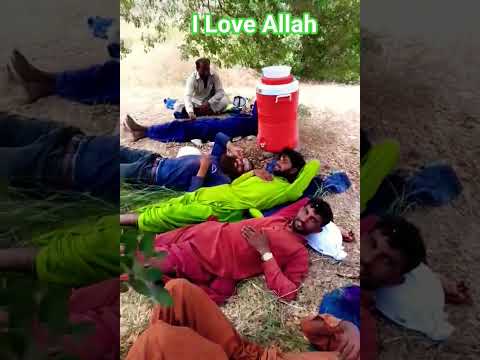 Best tiktok for you #viral #foryou #shorts