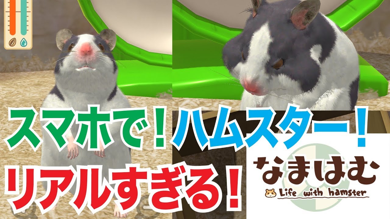 Namahamu] Raise a cute hamster on your smartphone! A hamster