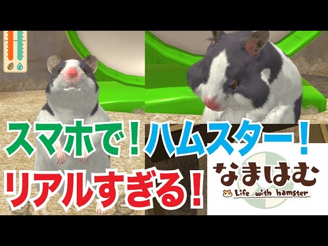 Namahamu] Raise a cute hamster on your smartphone! A hamster