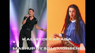 Mustafa Sandal & M Lisa - Kalmadi X Araba Mashup By Sina Mohseni