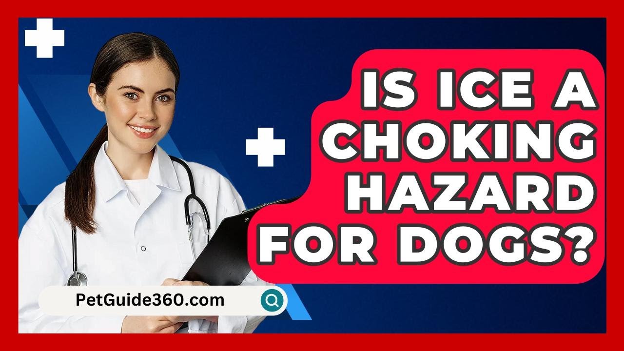Is Ice A Choking Hazard For Dogs? - PetGuide360.com