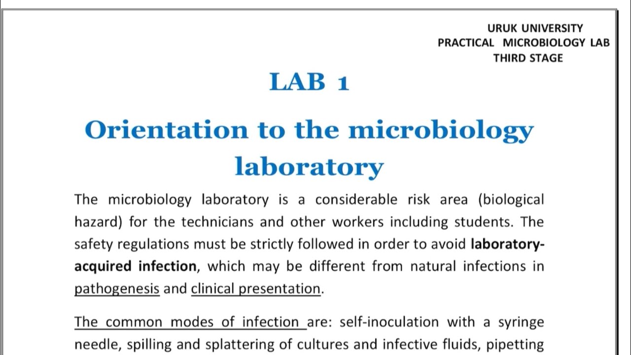 Microbiology lab 1 طب اسنان مرحلة ثالثة - YouTube