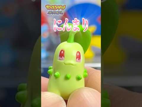 ちょっと腹立つチコリータの顔ｗ #ポケモン #pokémon
