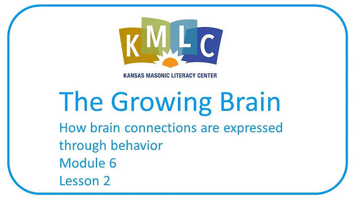 Module 6 Lesson 2 - Key Factors that Influence Behavior