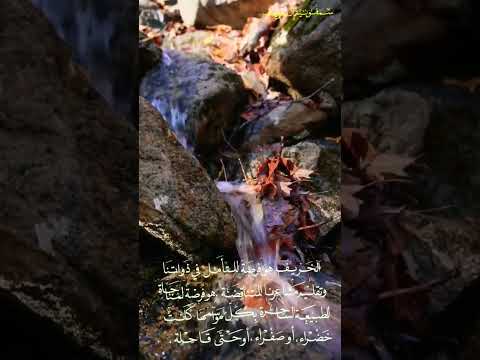 سمفونية الخريف 2 