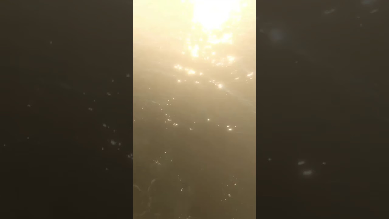 Little Asian falls, cries and dies in knee deep water