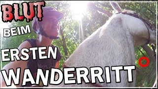 Blut am ersten Wanderritt mit meinem Freund!