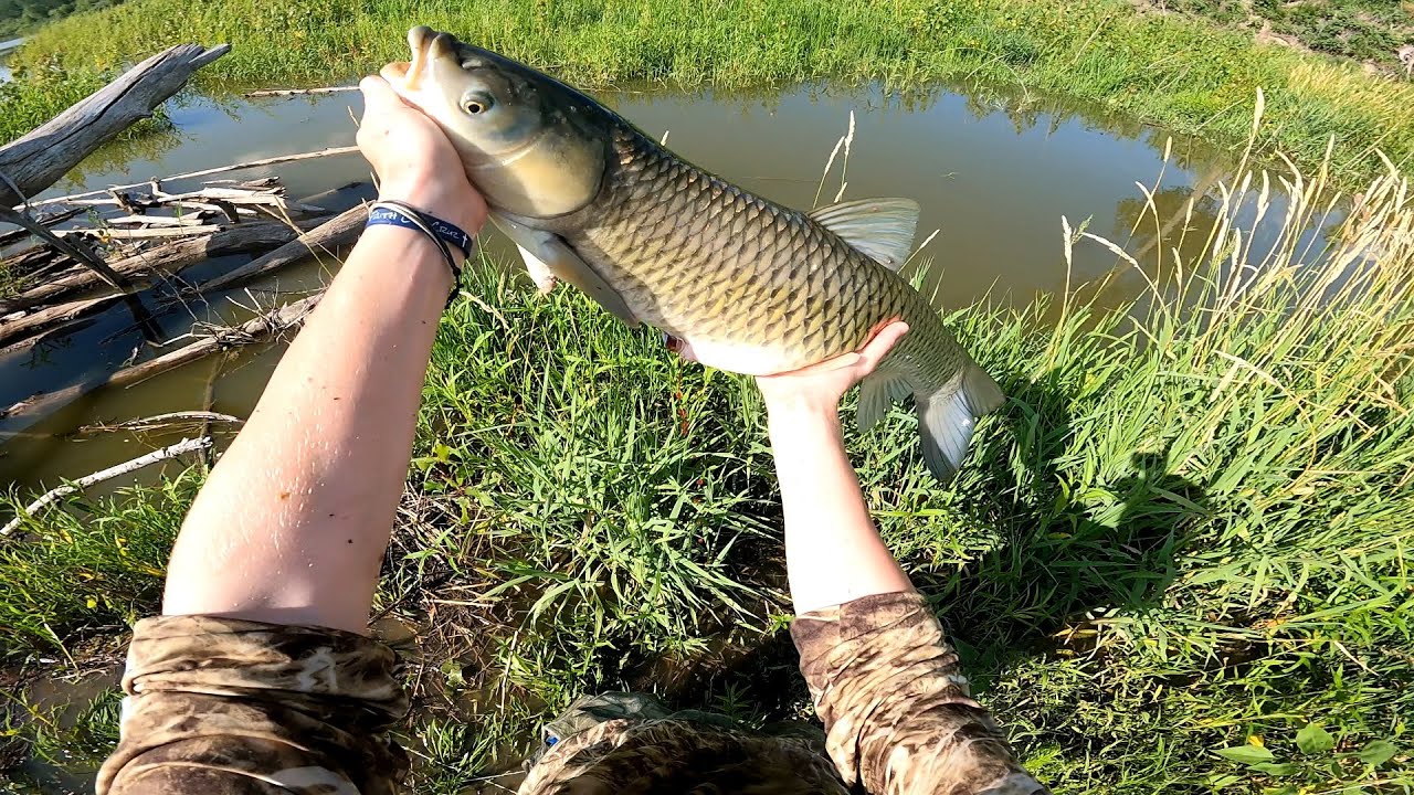 How to go bowfishing from shore