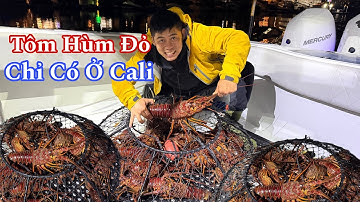 Thả Lồng Tìm Tôm Hùm Đỏ Ở Biển Phía Nam Cali