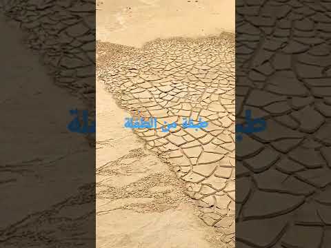 تربة طفلية