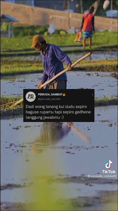 wong tani kere - story wa