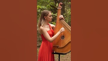 Astor Piazzolla - Libertango (Bandura and Accordion)
