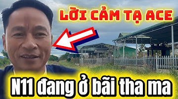 N11 đang ở bãi tha ma rồi Hoàng Sáu ơi#lamchadep