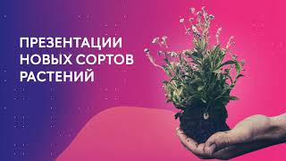 Фестиваль Цветы Fest 2020 на ВДНХ