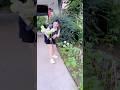 Brighten Your Garden with Solar Green Onion Lights❤️ #viralvideo