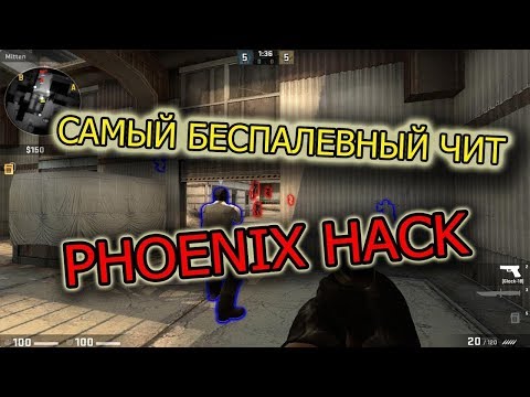 ПРИВАТ ЧИТ CS