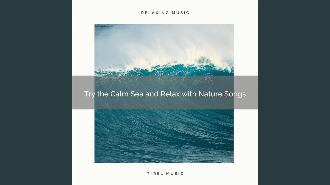 Calm Ocean and Relax with Bird Tweets