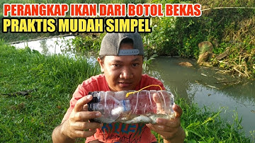 PANEN IKAN WADER DENGAN PERANGKAP BOTOL BEKAS