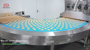 Fully Automatic Soft Biscuit Production Line