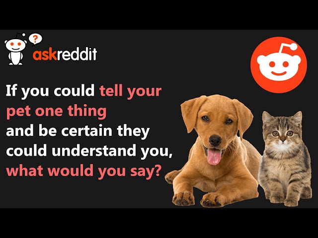 If you could tell your pet anything, what would you say? (r/AskReddit Top Posts | Reddit Stories) class=