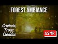🧚🏻‍♀️ Mystical Forest Ambiance - A New Kind of Forest
