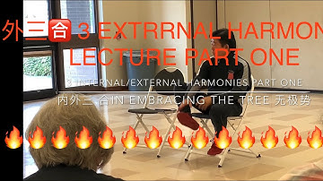 Tai Chi Wu Hao 3 Internal External Harmonies 内外三合 Explained Part One