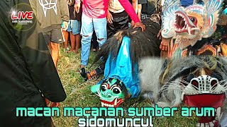 Macan Macanan Sumber Arum Sidomuncul  Pakemacara Suroan