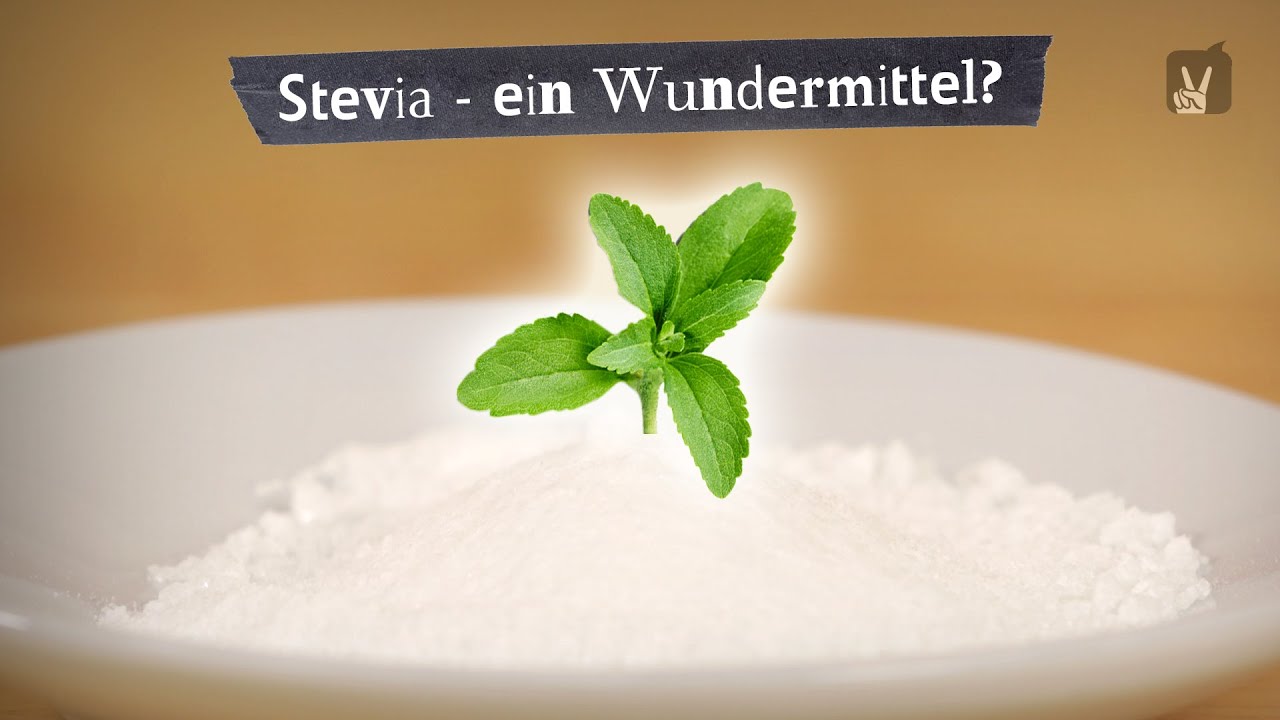 Stevia als Zuckerersatz ein echtes Wundermittel? YouTube