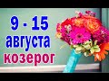 КОЗЕРОГ 💙 УСПЕХ в РАБОТЕ 💙 неделя с 9 по 15 августа. Таро прогноз гороскоп гадание