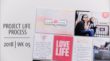 Project Life® Process Video 2018 | Week 05