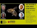 Insectageddon: is global insect extinction real?