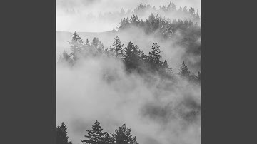 Subdued Backdrops for Autumn Styles