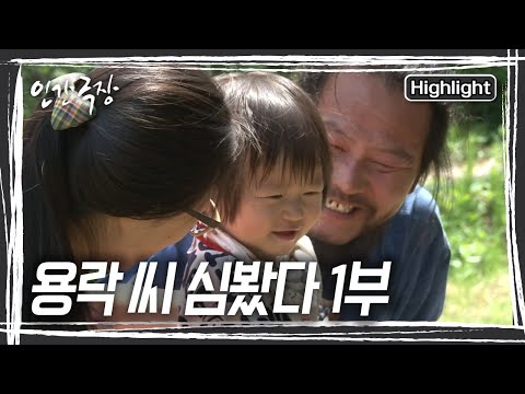 해발 550미터 고지 지리산 자락! 산삼을 찾아 이리저리 뛰어다니는 심마니 &amp;#39;용락 씨&amp;#39; 하지만 진짜 산삼은 집 안에 있었다?! [인간극장] KBS 방송