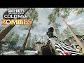 Call of Duty Black Ops Cold War: ZOMBIES | Multiplayer Gameplay | LIVE