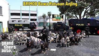 Ratusan Anjing Pelacak Grebek Transaksi Narkoba || GTA 5 Mod Polisi Indonesia screenshot 3