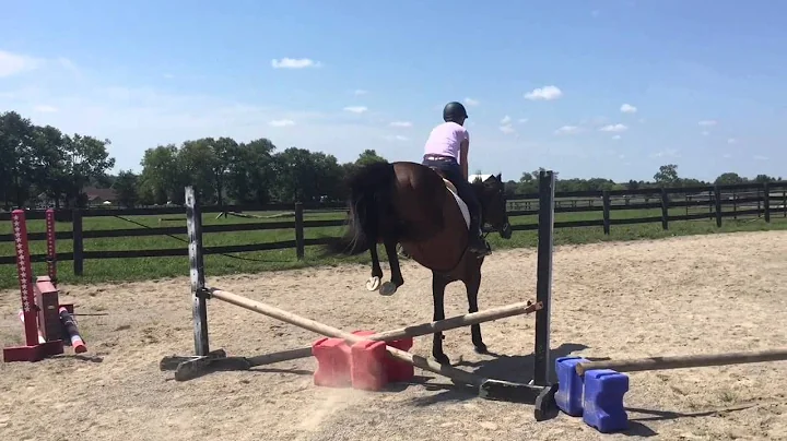 Little Man schooling 82215