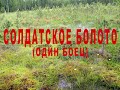 Еще один солдатик  в осеннем болоте.